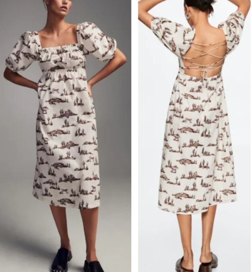 Mango Western Cactus Horse Print Midi Dress Cotton Lace-Up Back 6 M Coastal